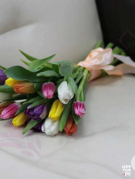 Тюльпаны разноцветные 15шт